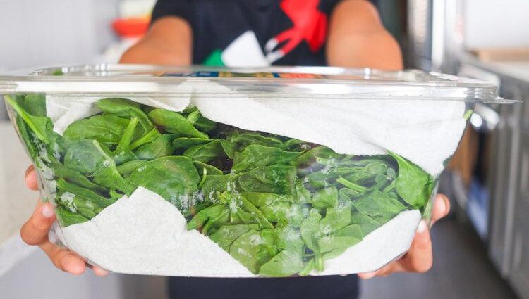 How to store spinach in the refrigerator in winter