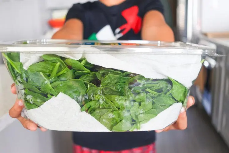 How to store spinach in the refrigerator in winter