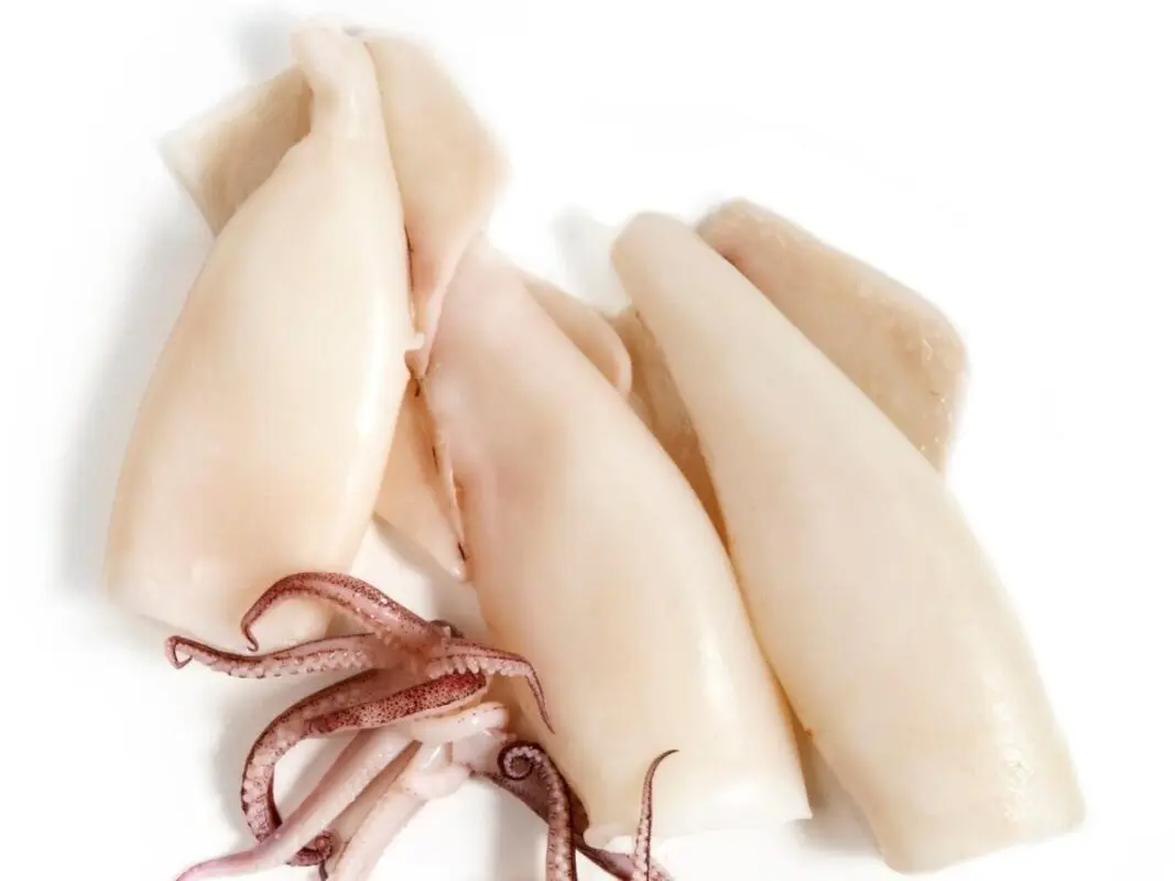 How and where to store squid correctly?