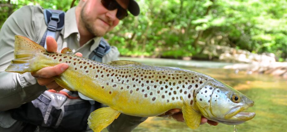 How and where to store trout correctly?