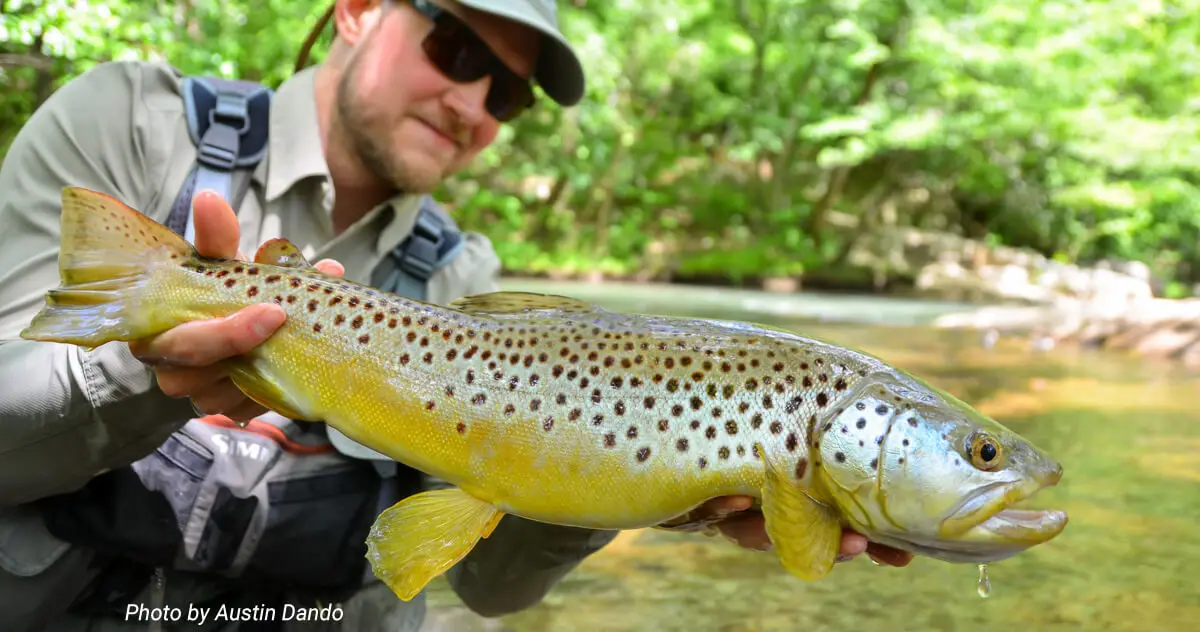 How and where to store trout correctly?