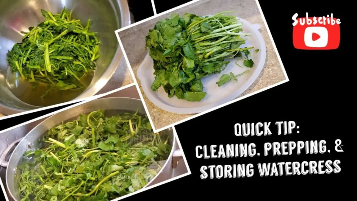 How and where to store watercress?