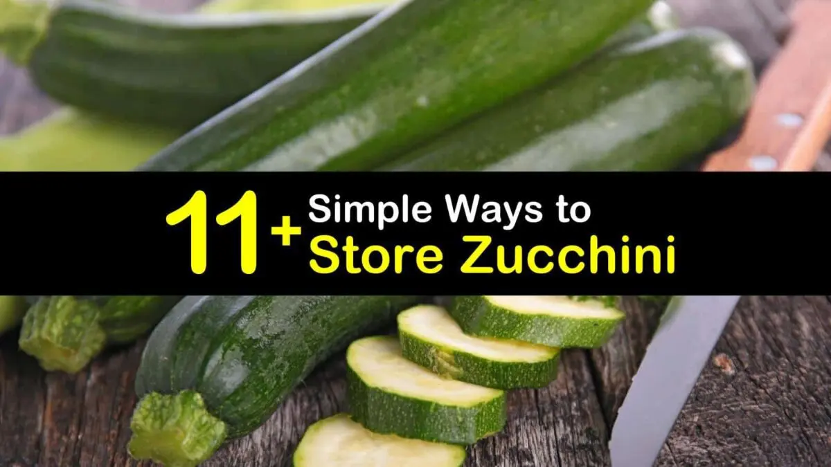 How and where to store zucchini correctly?