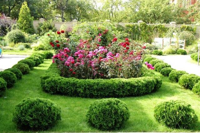 How beautiful to decorate a flower bed with your own hands. Video