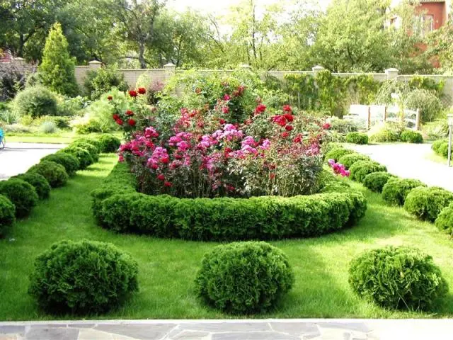 How beautiful to decorate a flower bed with your own hands. Video