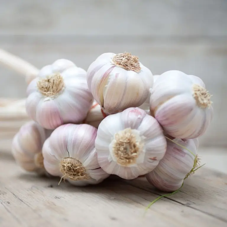 What to do to prevent garlic from turning yellow