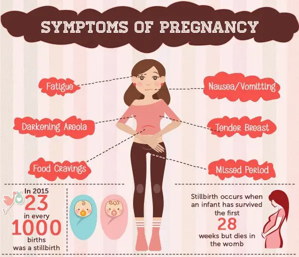 How can you determine a missed pregnancy in the early stages