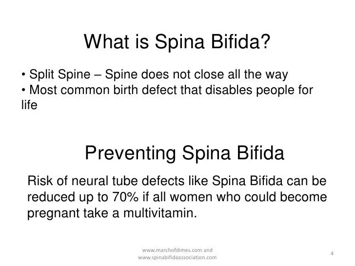 How can you prevent spina bifida?