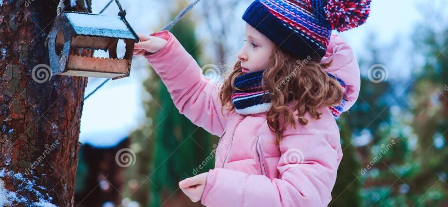 How children can feed birds in a feeder in winter