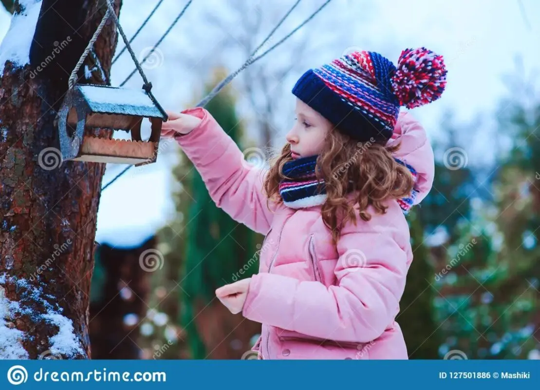 How children can feed birds in a feeder in winter