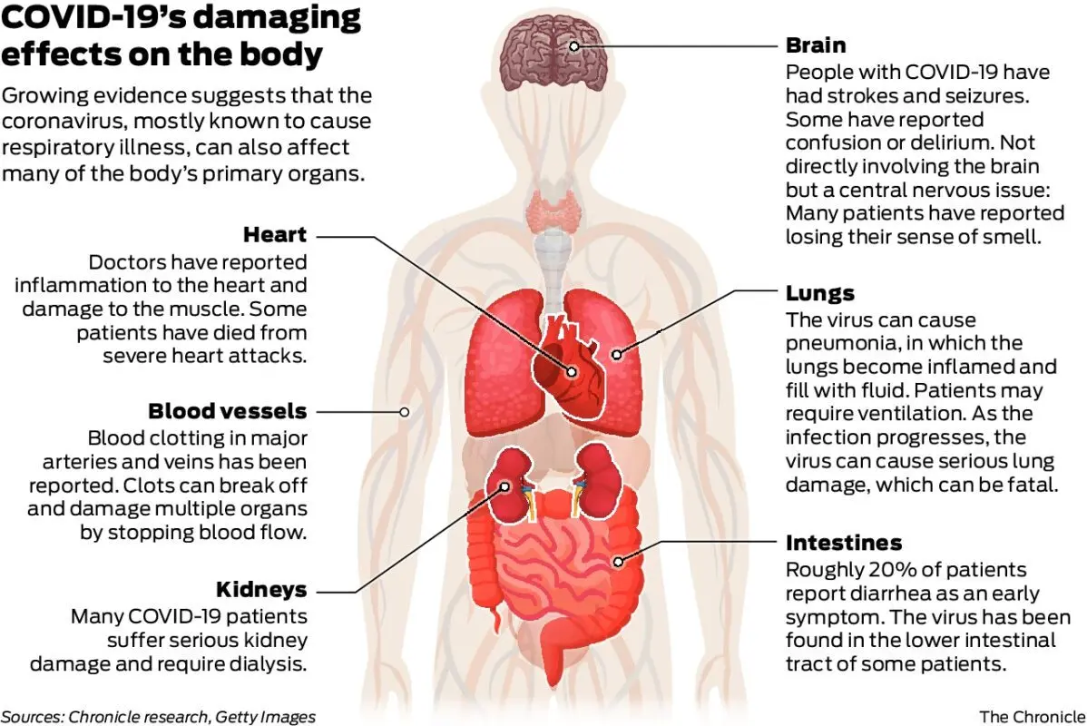 How coronavirus affects kidney function: the doctor answers