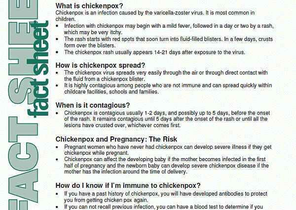 How does chickenpox affect early pregnancy?