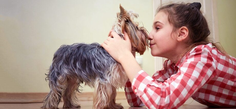 How does dog allergy manifest in children: what to do