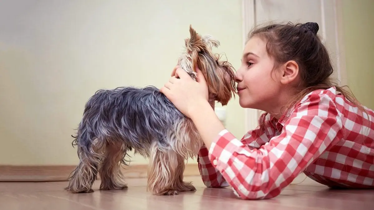 How does dog allergy manifest in children: what to do