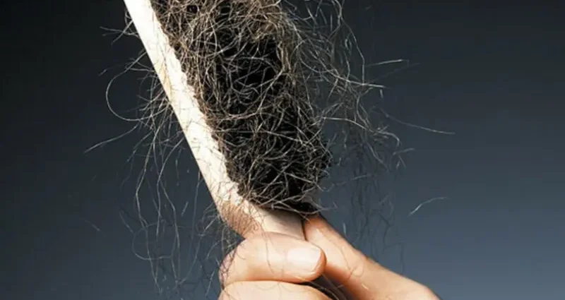 How much hair should actually fall out per day