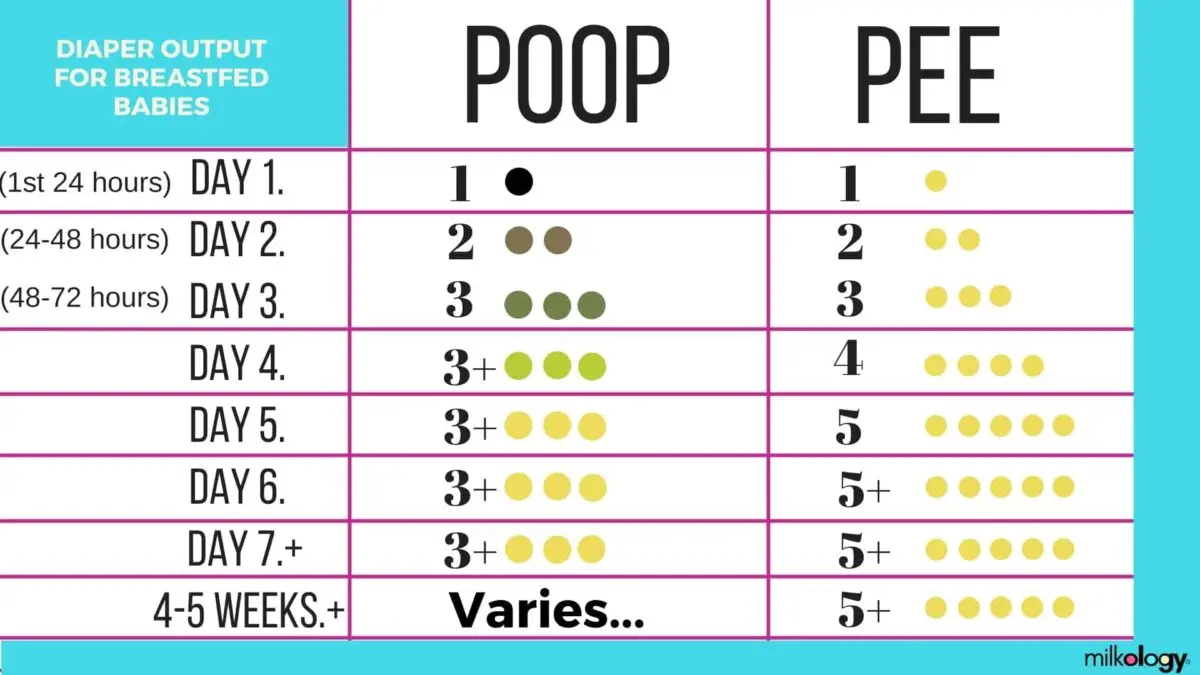 How much should a newborn poop, per day, day, times