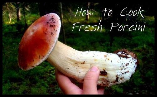 How much to cook boletus