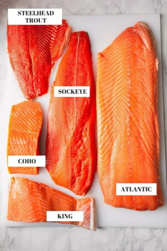 How salmon tastes different from salmon: fish, difference