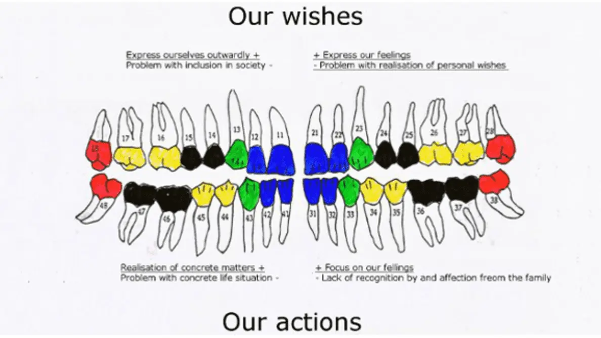 How teeth betray our age