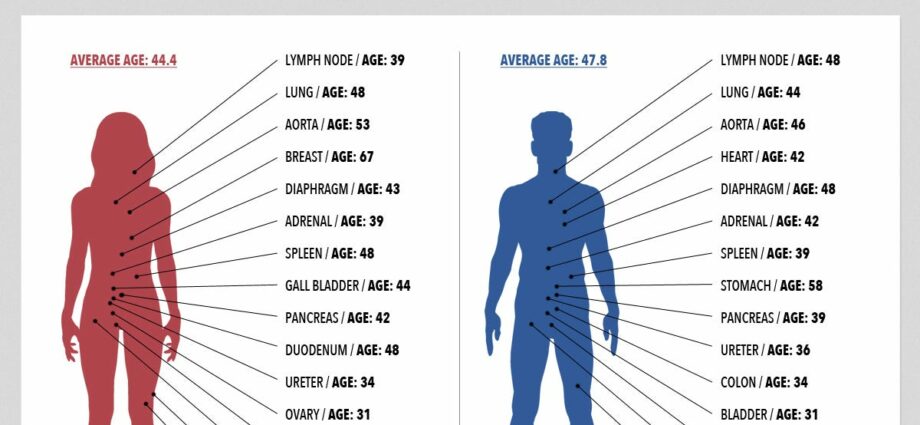 How the body of a person ages with age excerpt from the book by Cameron Diaz The book about longevity