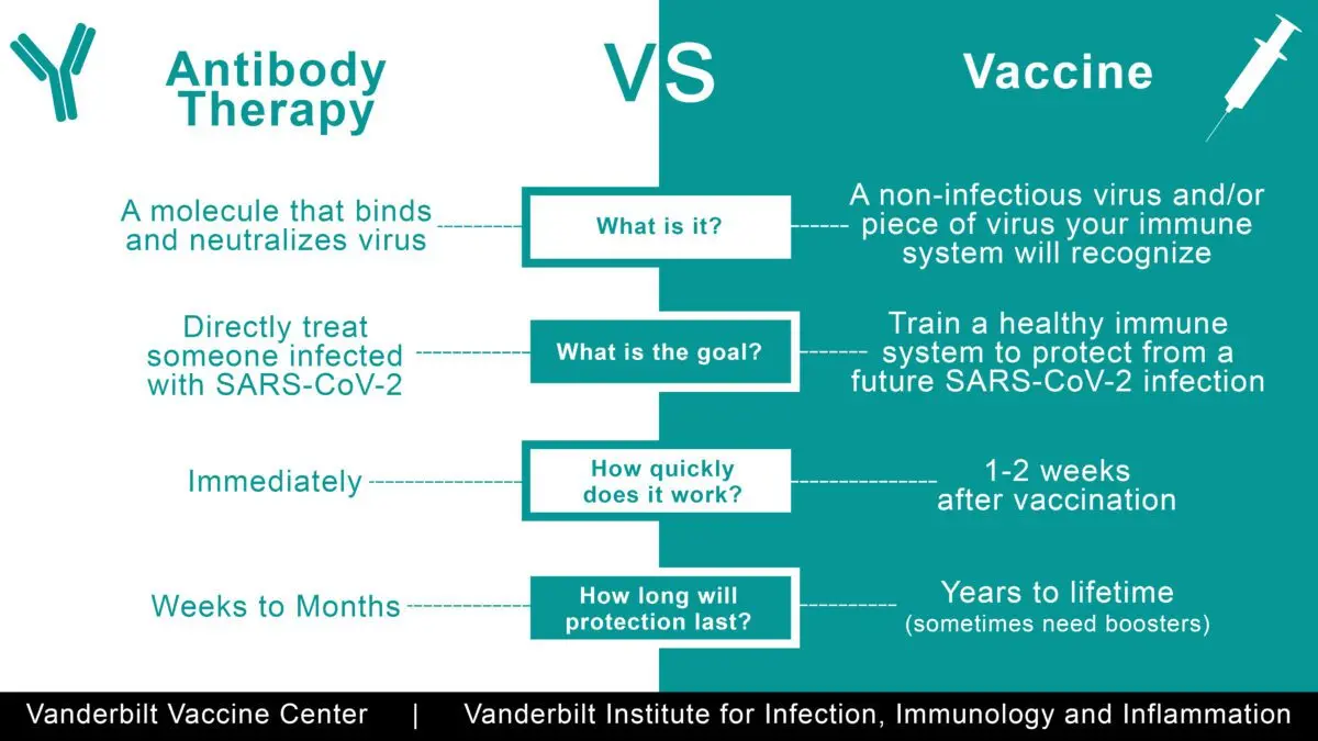 How the vaccine differs from the medicinal serum: briefly, what&#8217;s the difference