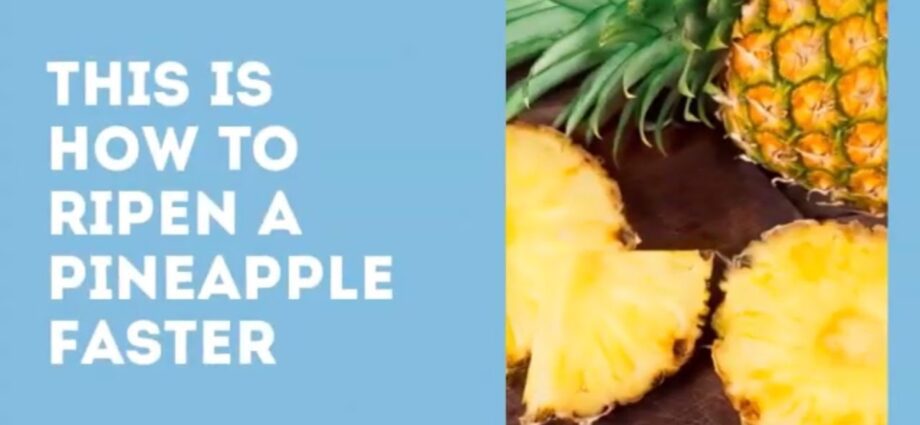 How to accelerate the ripening of pineapple? Video Tips