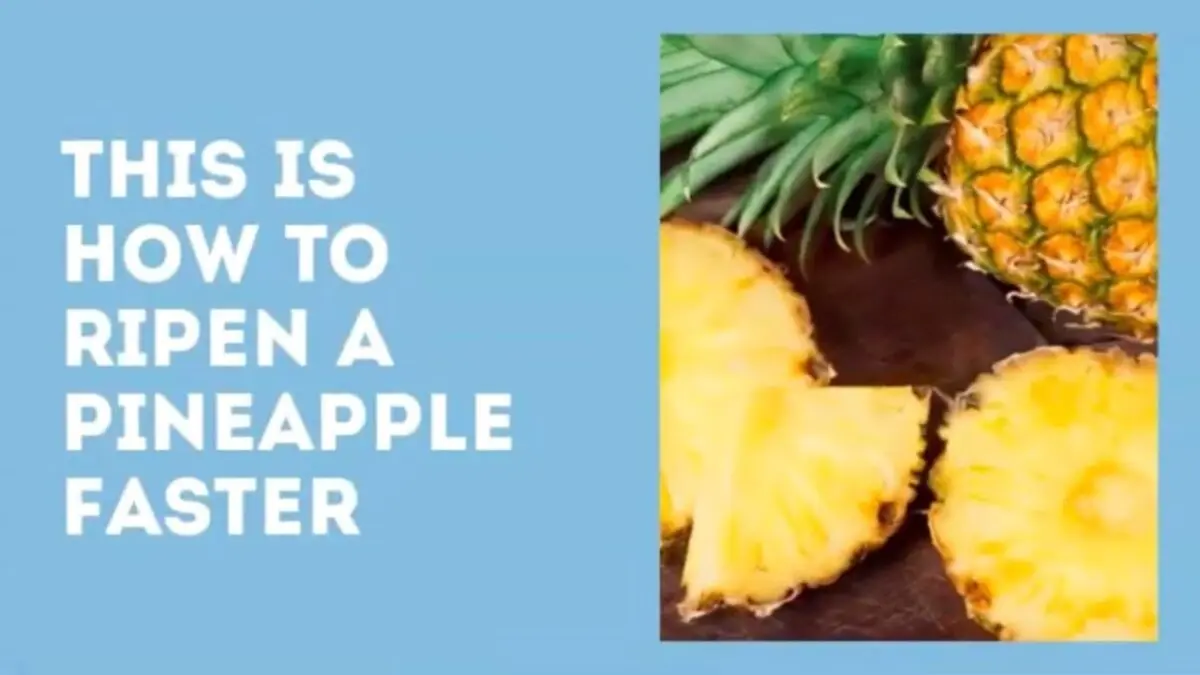 How to accelerate the ripening of pineapple? Video Tips