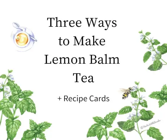 How to brew lemon balm tea