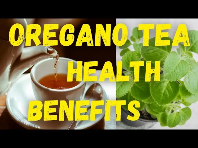 How to brew oregano, how much to brew oregano