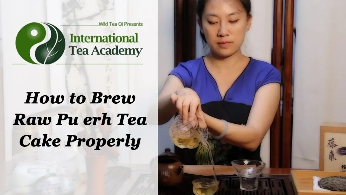 How to brew pu-erh correctly? Video