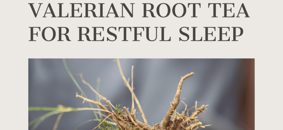 How to brew valerian, brew valerian root for drinking, bathing