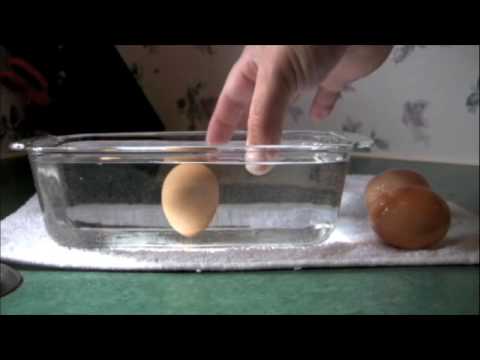 How to check eggs for freshness. Video