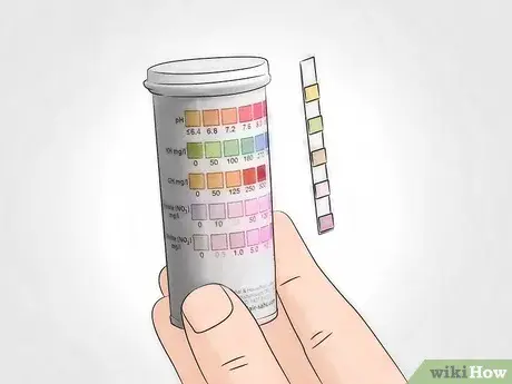 How to check water quality at home