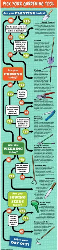 How to choose a garden tool: tips