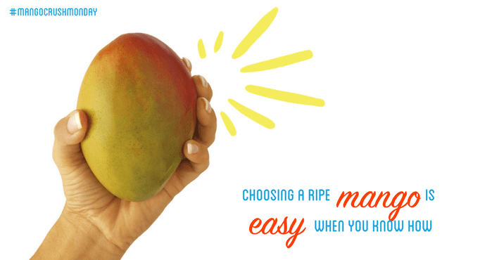 How to choose a ripe mango in the store