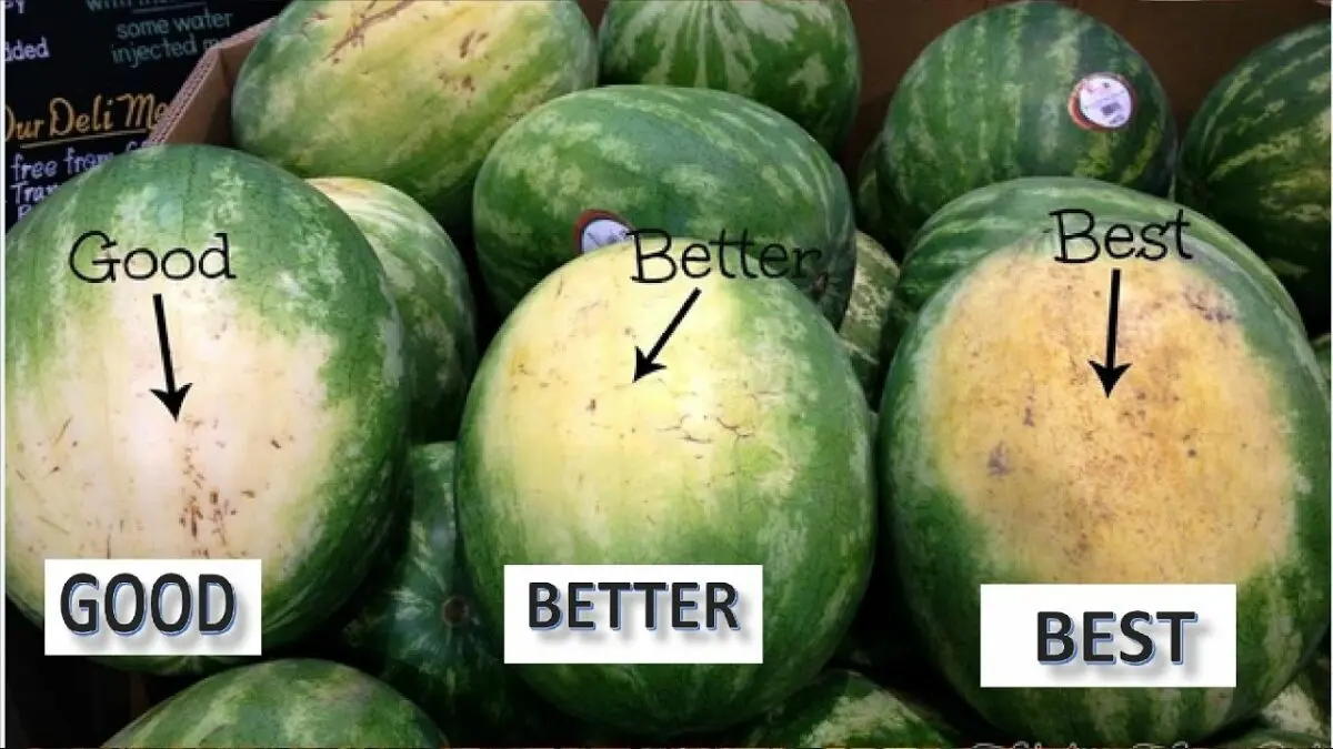 How to choose a ripe sweet watermelon, video tips