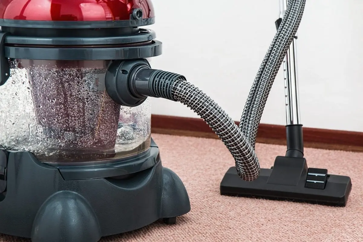 How to choose a washing vacuum cleaner