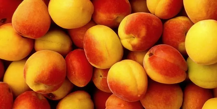 How to choose the right apricot?