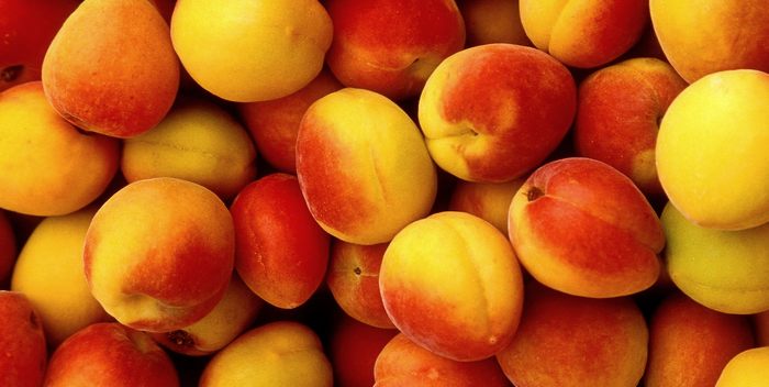How to choose the right apricot?