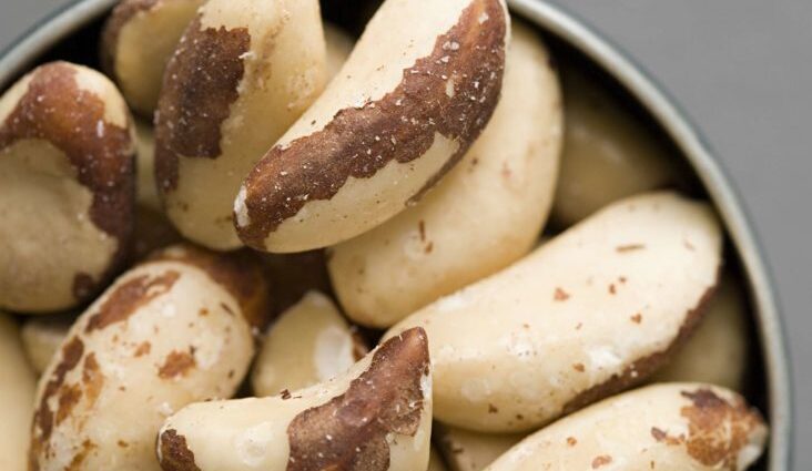 How to choose the right Brazil nut?