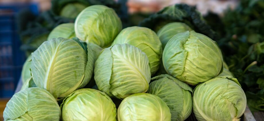 How to choose the right cabbage