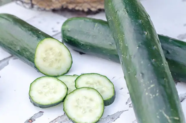 How to choose the right cucumber?