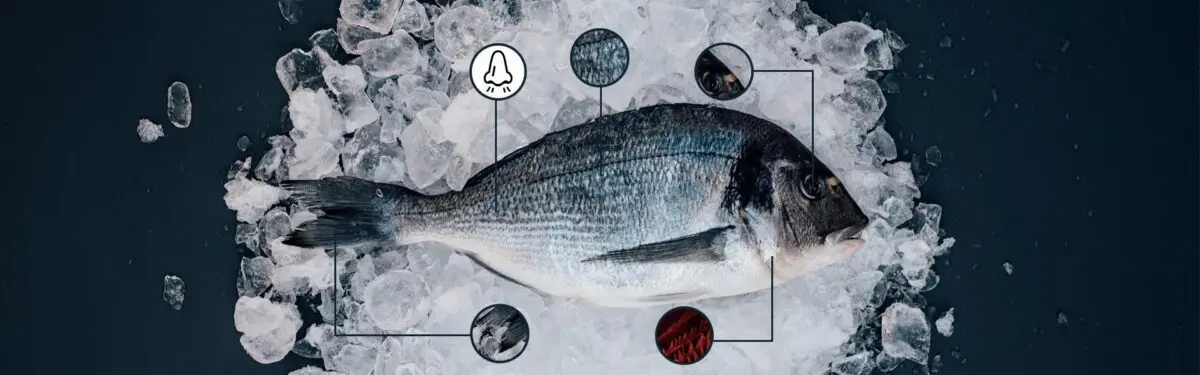 How to choose the right fresh fish in the store