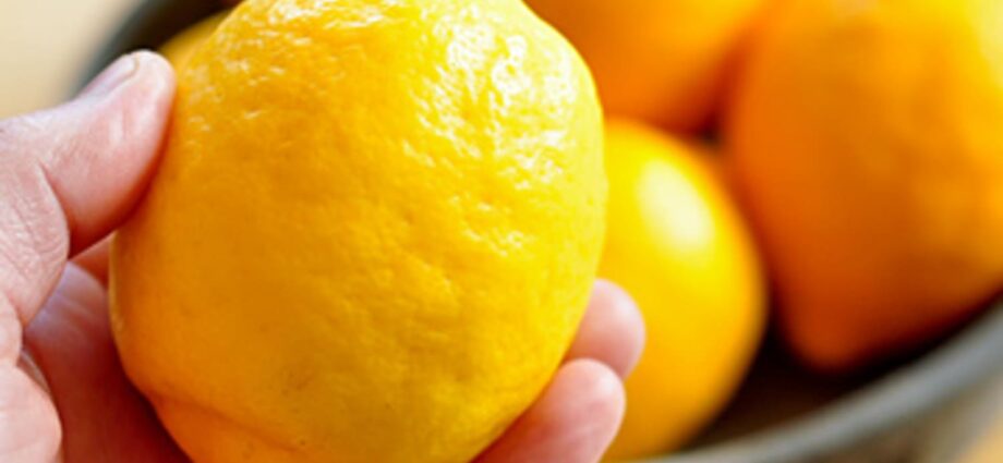 Wie wählt man die richtige Zitrone?