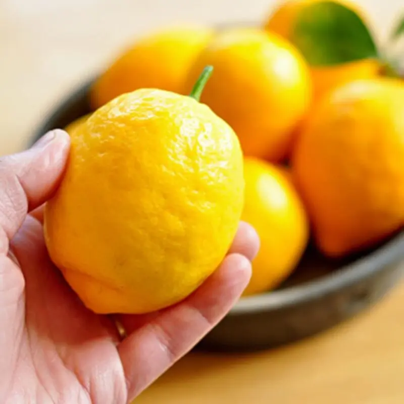 How to choose the right lemon?