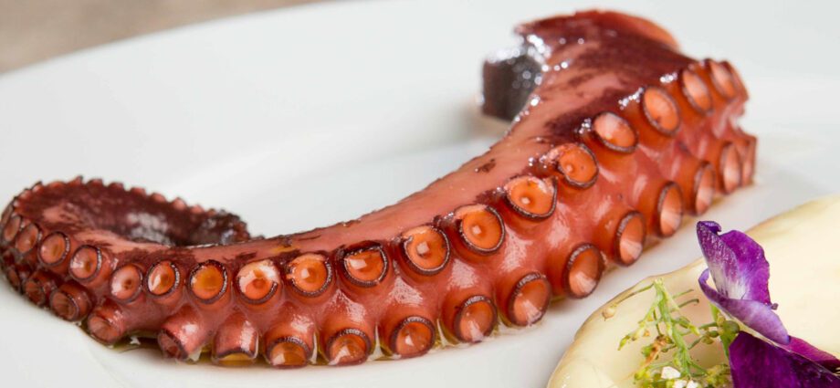 How to choose the right octopus meat?