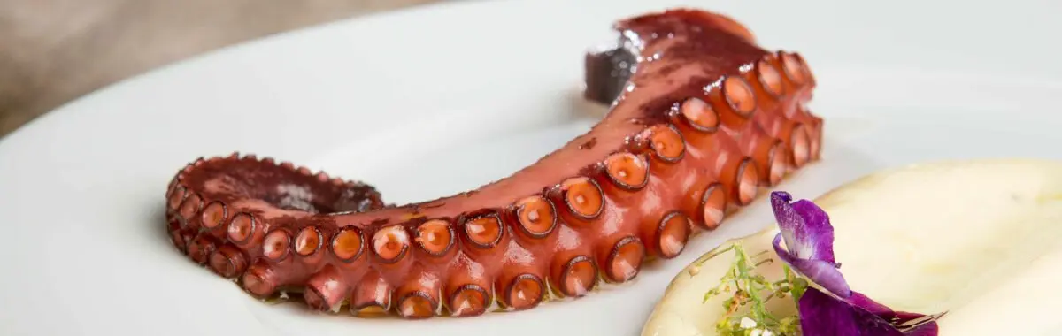 How to choose the right octopus meat?