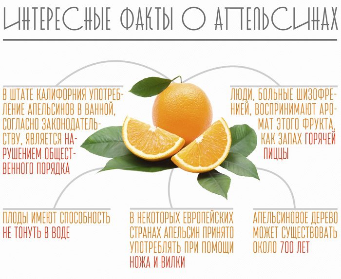 How to choose the right oranges, what to look for