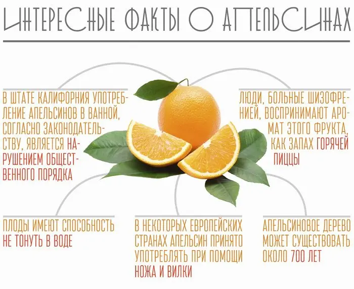 How to choose the right oranges, what to look for