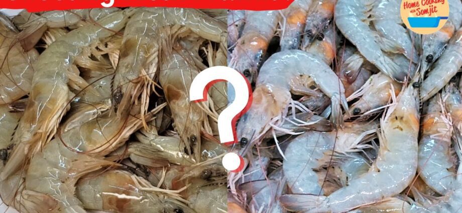 Kodi mungasankhe bwanji shrimp yoyenera?